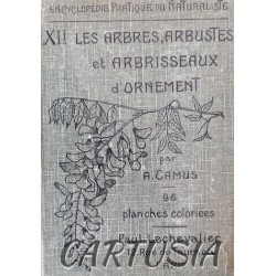 Les_Arbres,_Arbustes_et_Arbrisseaux_d'ornement,_A._Camus